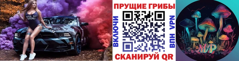 Псилоцибиновые грибы мицелий Гусев
