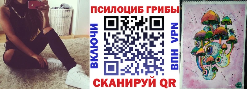 Псилоцибиновые грибы GOLDEN TEACHER  купить закладку  Гусев 